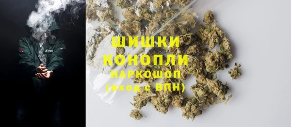 молекула духа Бугульма