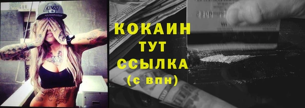 мескалин Бородино