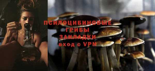 шишки Бронницы