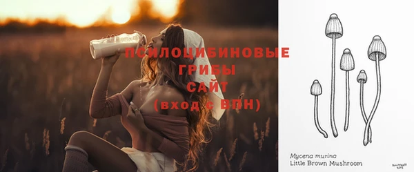 молекула духа Бугульма