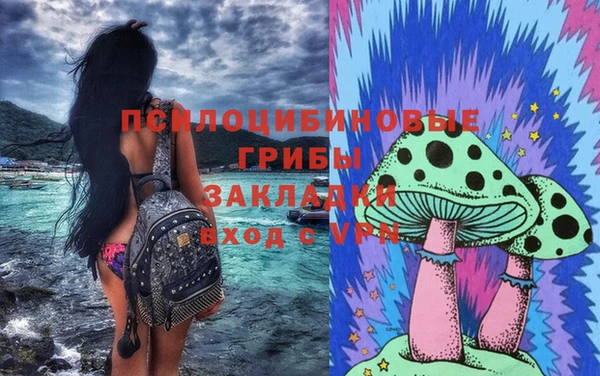 шишки Бронницы