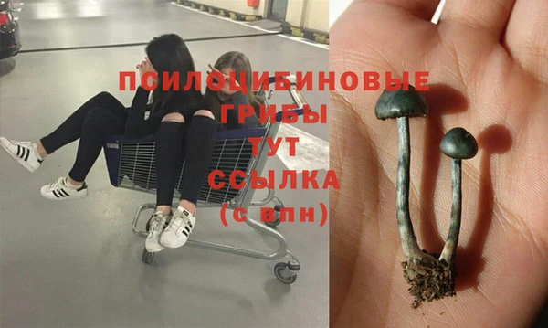 молекула духа Бугульма