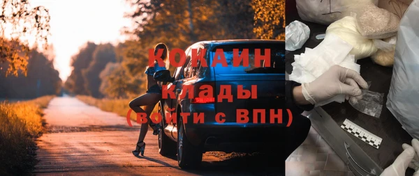 шишки Бронницы