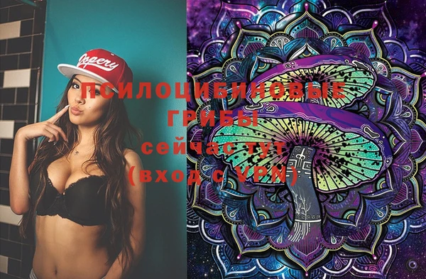 молекула духа Бугульма