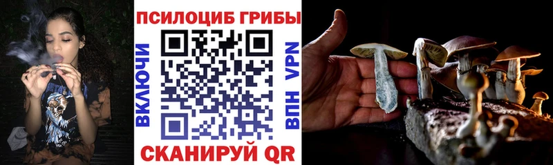 Псилоцибиновые грибы Magic Shrooms Вязники
